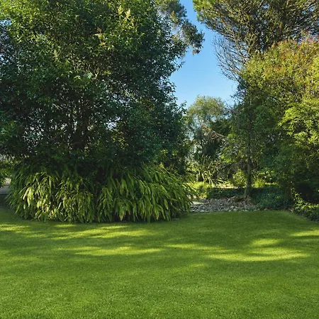 Quinta Da Penalva - Dağ evi *