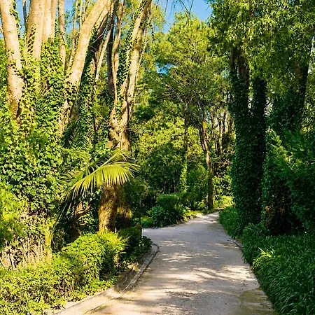 Quinta Da Penalva - * Sintra