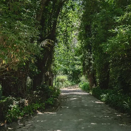 Quinta Da Penalva - * Sintra