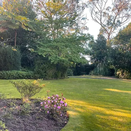Quinta Da Penalva - Dağ evi *